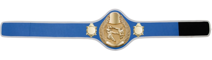 BOXING CHAMPIONSHIP BELT-PRO301/G/BOXG- 10 + COLOURS BOXING CHAMPIONSHIP BELT-PRO301/G/BOXG- 10 + COLOURS